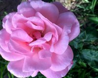 Highland Gardens Image