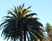 Highland Gardens Image