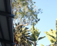 Highland Gardens Image