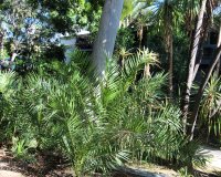 Highland Gardens Image