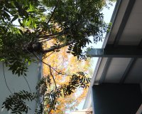 Highland Gardens Image